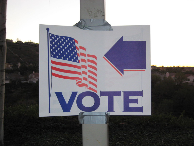 PROTECT YOUR VOTE and THE MIDTERM ELECTIONS